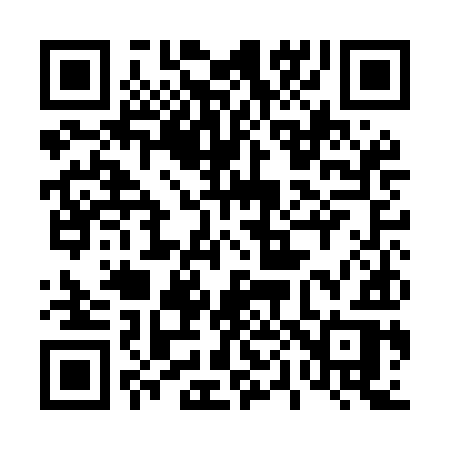 QR code for 401MIR