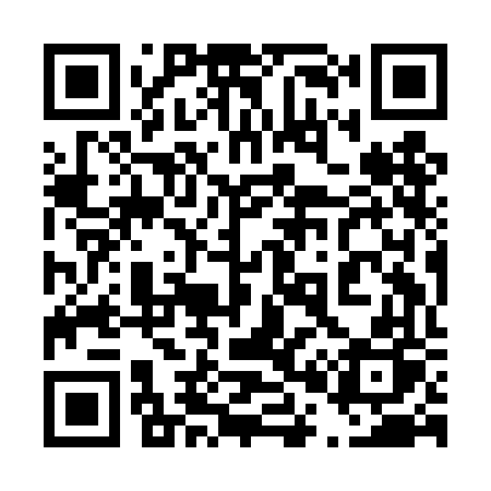 QR code for 409DFP