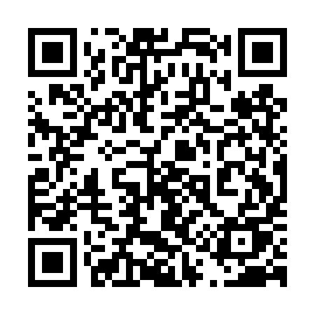 QR code for 411DYU