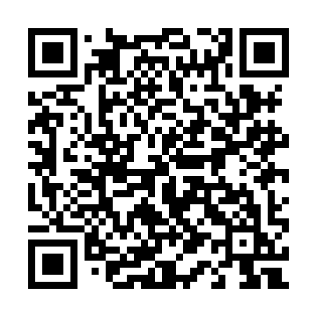 QR code for 411HIK
