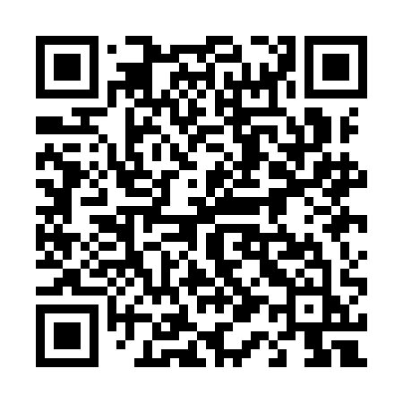 QR code for 411IAJ