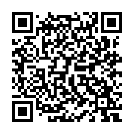 QR code for 411IFO