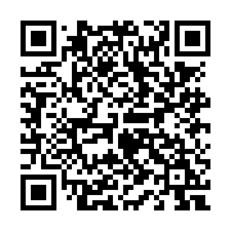 QR code for 411NEM