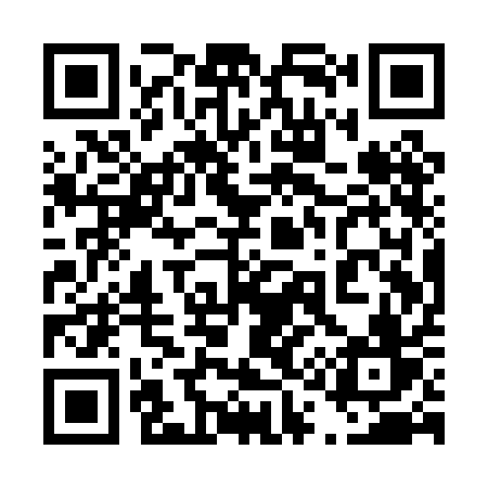 QR code for 411PAV