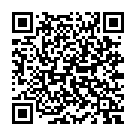 QR code for 411PNA