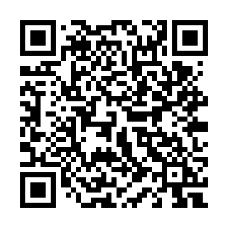 QR code for 411VZI