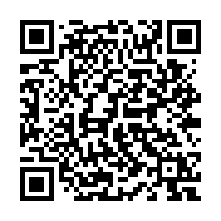 QR code for 411WSX