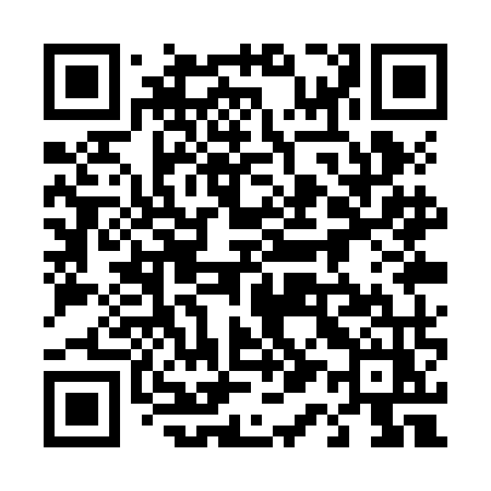 QR code for 411ZMZ