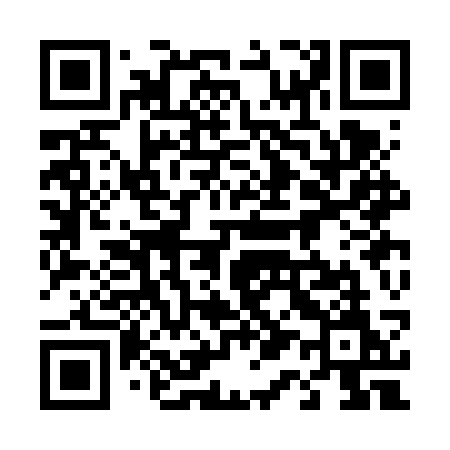 QR code for 413FSM