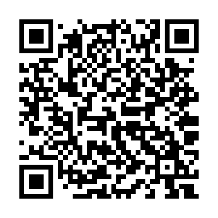 QR code for 416PZO
