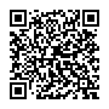 QR code for 417DSI