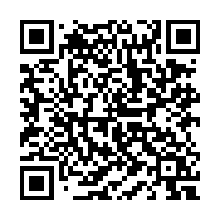QR code for 419DEV