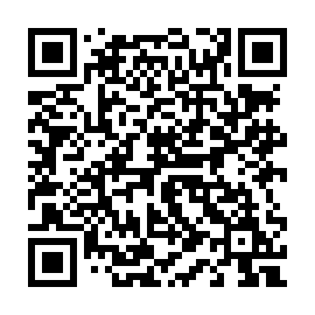 QR code for 419LAM