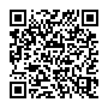 QR code for 419SAS
