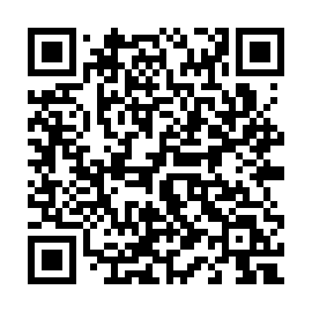 QR code for 419SUL