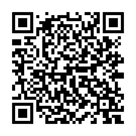 QR code for 419ZHW