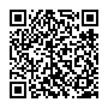 QR code for 433FIS