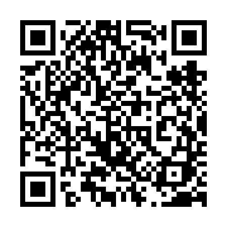 QR code for 433VDI
