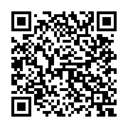 QR code for 441DUS