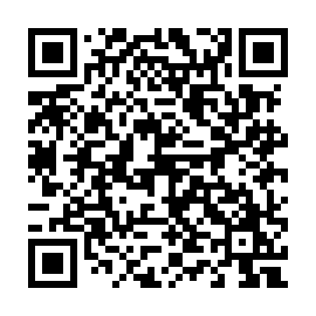 QR code for 441MHO