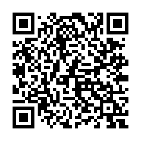 QR code for 441TOE