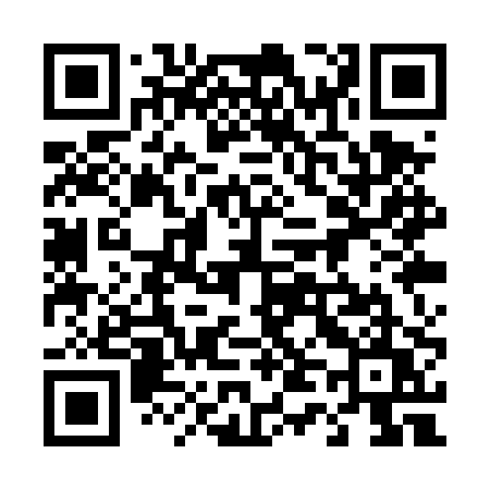 QR code for 441TPU