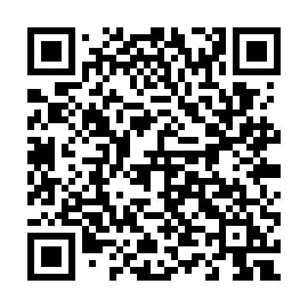 QR code for 441WEI