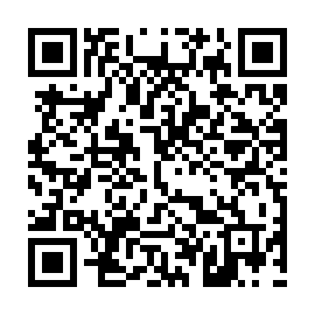 QR code for 445SKT