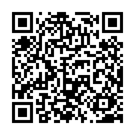 QR code for 450PSO
