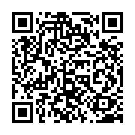 QR code for 455ICX