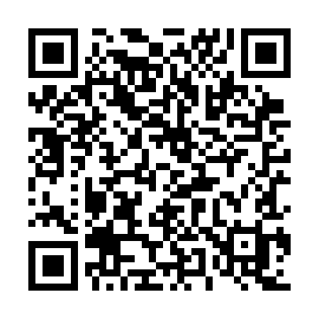 QR code for 458SII