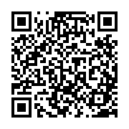 QR code for 460LLM