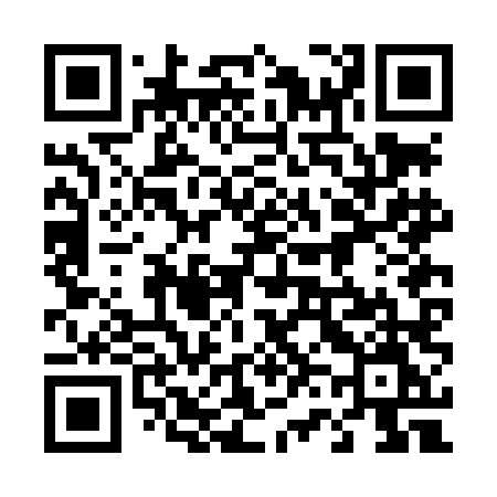 QR code for 462LLM