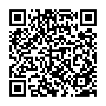 QR code for 463EXE