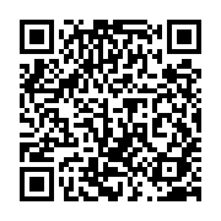 QR code for 463EXI