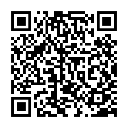 QR code for 463PIP