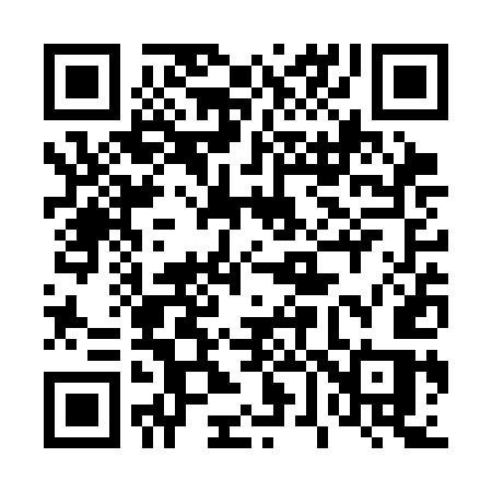 QR code for 463SES