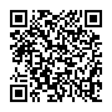 QR code for 463SOO