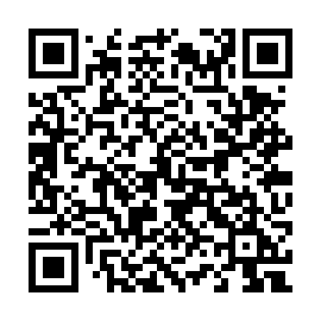 QR code for 463TZE