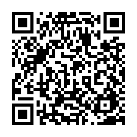 QR code for 486ORG
