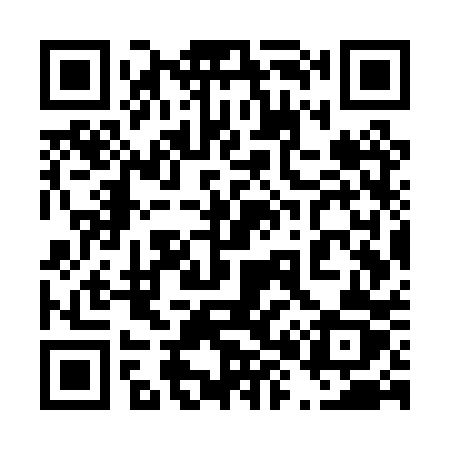 QR code for 487PPZ