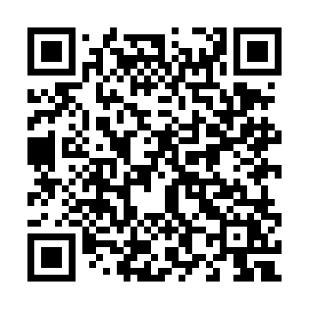QR code for 489DLX