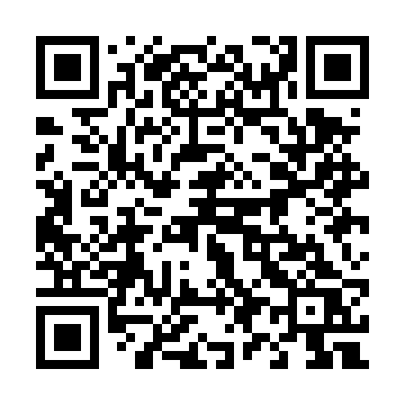 QR code for 491DRS
