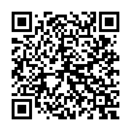 QR code for 491FOV