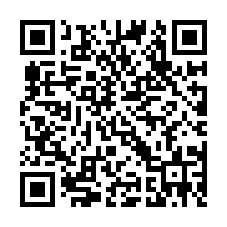 QR code for 491IIS