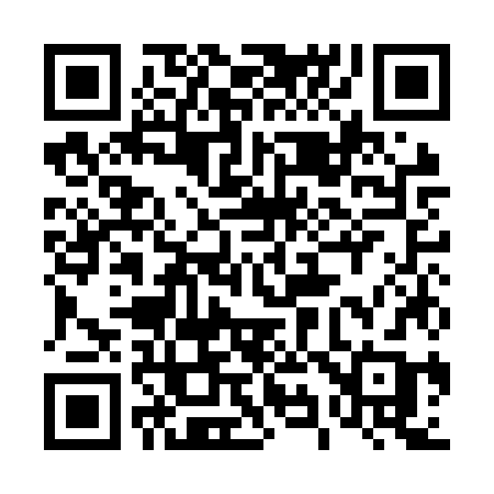 QR code for 491NZB