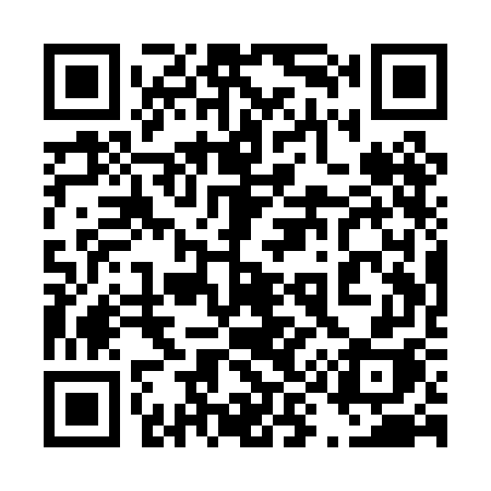 QR code for 491PGH
