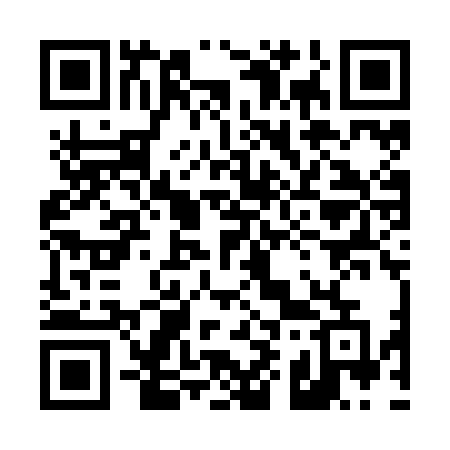 QR code for 491ZNE