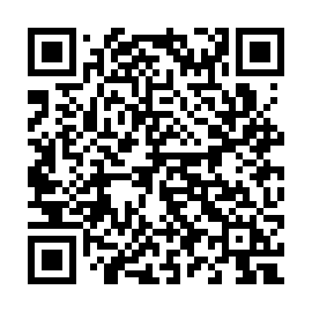 QR code for 493CZH