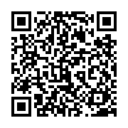 QR code for 493GBM